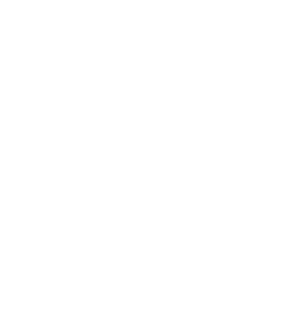 bixoshop.com